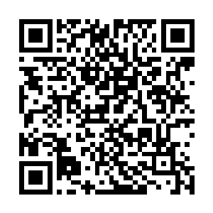 这两只出没在元素界和物质界中的精神力之手各干着各的活二维码生成