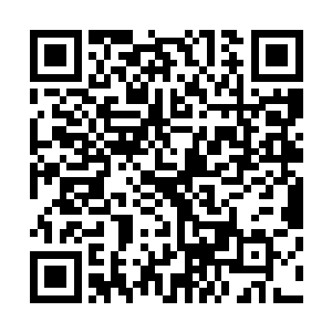 这两只就好像幼稚园里两个不对盘的小男孩和小女孩在吵架二维码生成