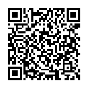 这两天内我会安排杨天华和你一起共同研讨制定二维码生成