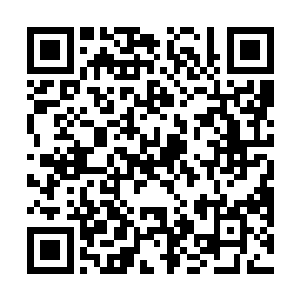 这两天甚至有几家国内的减肥药厂商想要来找我代言呢二维码生成
