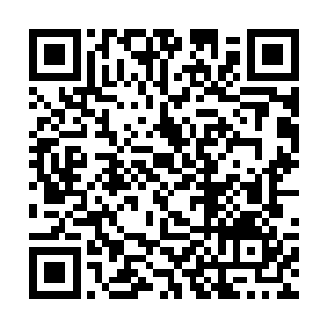 这两天的两个孩子对于这里的美食还是比较的有兴趣二维码生成