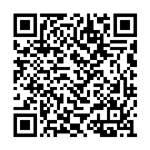 这两天的时间基本上都围拢在母亲的身边位置了二维码生成