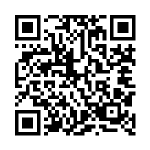 这两小家伙依旧在外面的小型花园之中玩乐着二维码生成