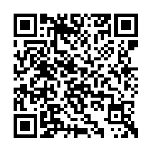 这两把武器就能发出类似晶核炮那样的能量冲击二维码生成