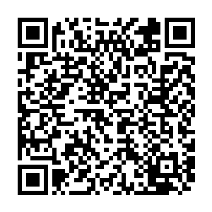 这两把类似弯刀一般分为金银两色的武器也不知道是由什么材料打造而成二维码生成