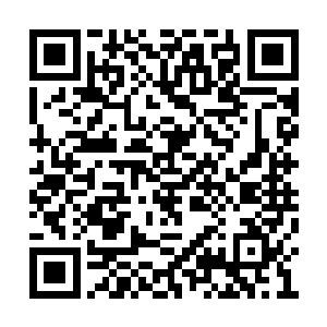 这两条蛇在空中飞舞的时候是在上下摆动着身体二维码生成