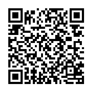 这两株妖藤跟吴岩之间有着某种极其微妙的心神联系二维码生成