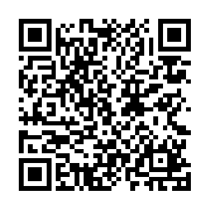 这两样东西也不知道是什么时候突然出现在自己的手里的二维码生成
