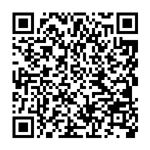 这两种互相关联的可怕状态以超物理方式转化为攻击手段的究极武学二维码生成