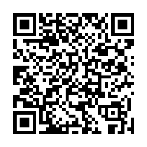 这两道爆响声震得决斗台四周观看的弟子心中都猛然一跳二维码生成