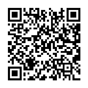 这两道身影几乎是在眨眼之间便是来到了这片星空二维码生成