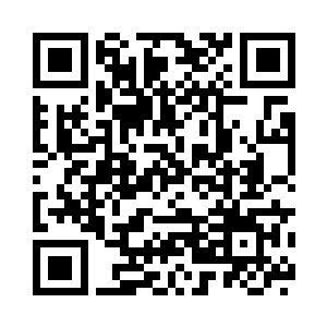 这两颗梧桐树与周围的梧桐树一比二维码生成