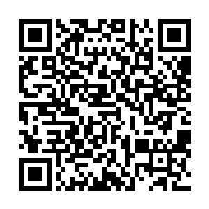 这两首音功的威力会随着自己的修为的增长而不断地增长二维码生成