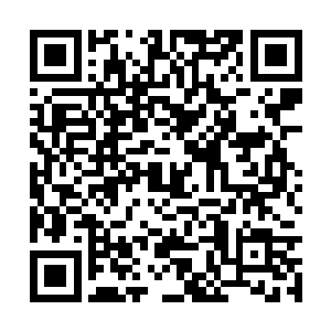 这严宽在纹师一道的天赋绝对能排入全大陆前五名二维码生成