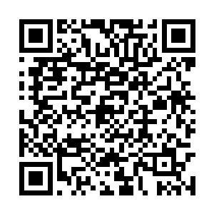 这个……以你现在的实力最多只能够兑换二级阵图二维码生成