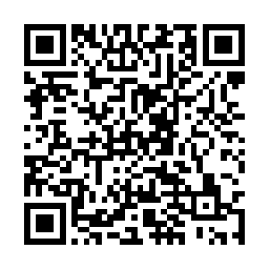 这个……只怕学姐要去问管理封印这件事的老师了二维码生成