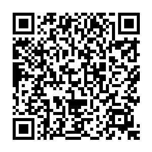 这个一向是以冷静著称的燕家大少为什么会突然变得歇斯底里起来了呢二维码生成