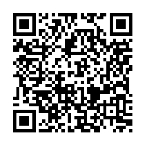 这个丁香一定这样的耐心一定是长期训练出来的二维码生成