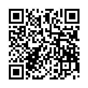 这个不是别人正是日本的首相小犬蠢二狼二维码生成