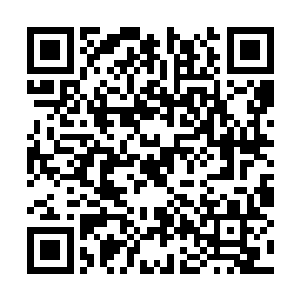 这个不是平白无故的给丁羽那边增添了一股势力吗二维码生成