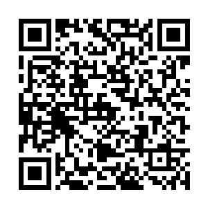 这个不是昨天与石家大小姐打赌赌赢的那个小姐吗二维码生成