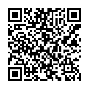 这个不知名的镜子放到他手里竟然一下子显示出了他的修为二维码生成