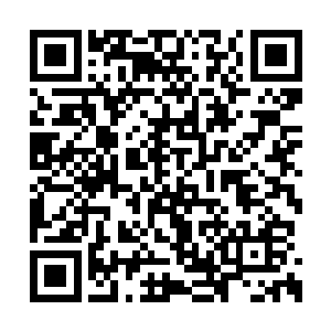 这个不知道从哪里冒出来的后辈也太目中无人了二维码生成