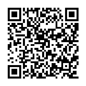 这个不靠谱的炼金师在白河谷地里也待了很久了二维码生成