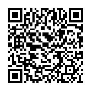 这个世界上从来就没有这般一条疯狂的生命……二维码生成