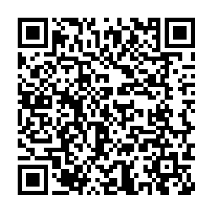 这个世界中的天地规则决定了不可能出现修为超过顶级神顶峰的人二维码生成