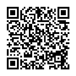 这个世界其实并不是我们表面上看到的那么简单二维码生成