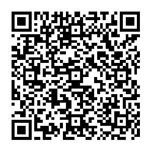 这个世界由萨纳尔河中走出的万蛇之母统治……万物在各个血裔的帝国当中生息繁衍二维码生成