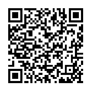 这个世界的孟南就已经有着神魄境五重天的修为二维码生成