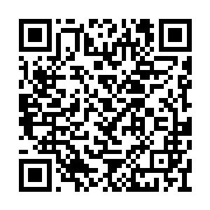 这个世界的银币其实大约是小拇指甲盖那么大小二维码生成