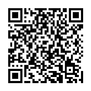 这个世界经常统计一些作家的销量来对比谁的市场号召力大二维码生成