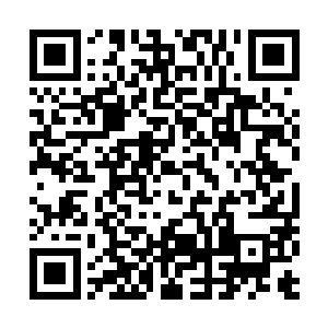 这个两百多斤的女人一屁股坐在305的房间门口嚎啕大哭起来二维码生成