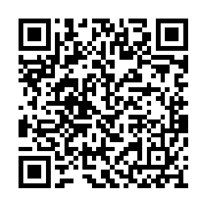 这个丫头一看到施凝雪和青禾就是一副战斗模式二维码生成