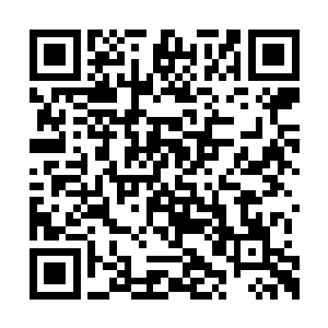 这个丫头还真是和身边的这位老祖宗一样的固执二维码生成