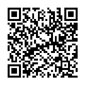 这个为了博取季疏云的同情完全把尊严随便撒的货二维码生成