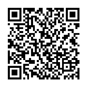 这个为新晋大将面无表情的看着这个城市被炸的四处烟尘翻滚二维码生成