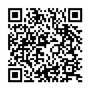 这个也就是为什么东黎墨看不爽这个秋意瑟最大的原因二维码生成