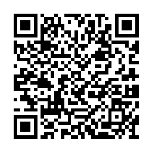 这个也是为什么要请丁羽这个外来者的原因所在二维码生成