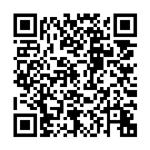 这个也是导致了为什么职业选手在赛场上的寿命只有两三年了二维码生成