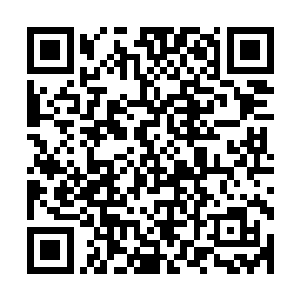 这个也是跟丁羽不太喜欢掺和到某些事情当中有着相当的关系二维码生成