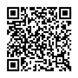 这个亚马逊女杀手纯粹是在凭借战斗本能在战斗二维码生成