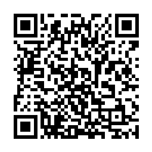 这个人不就是她刚进宴会就把她看毛了的其中一个吗二维码生成