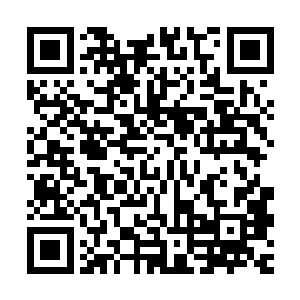 这个人却转到了最危险的承担着地元界战斗辅助任务的部队……二维码生成