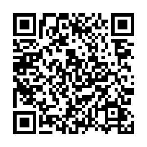 这个人打开了伟大的先知大祭司厄尔奇达留下的密匙之箱二维码生成