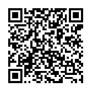 这个人族战士手上的那个白磷凝胶弹也可以投掷出来二维码生成