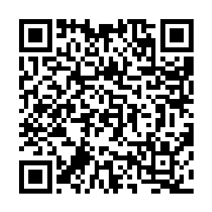 这个人是京都一带最恶的忍者这样感人手下开了很多的赌场二维码生成